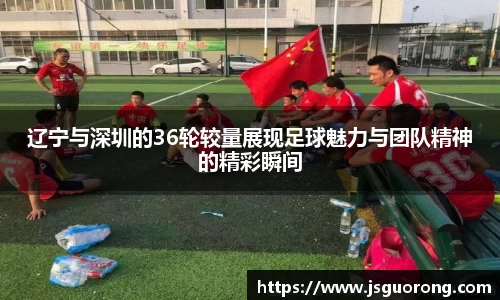 辽宁与深圳的36轮较量展现足球魅力与团队精神的精彩瞬间